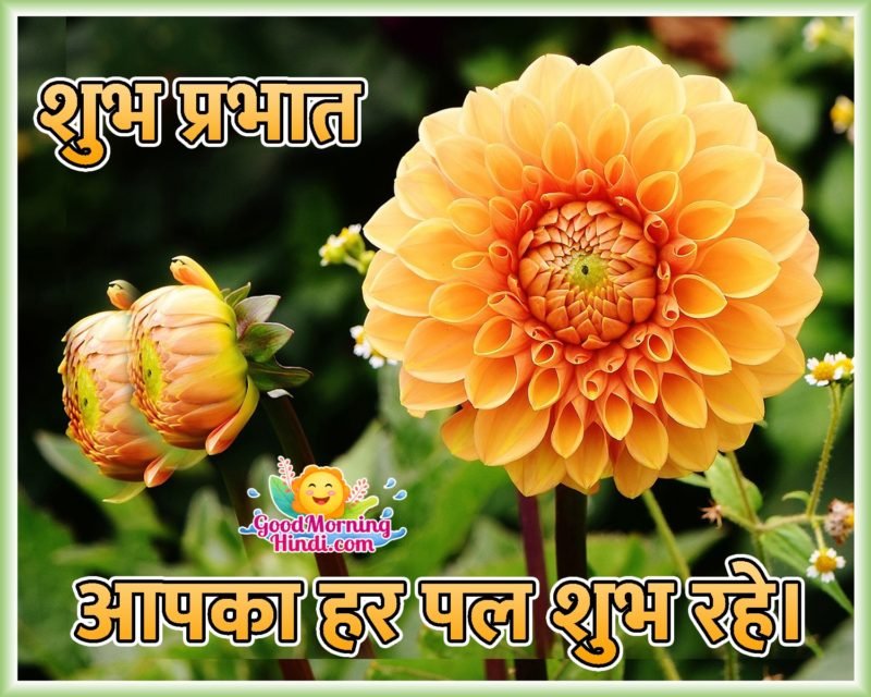 Good Morning Hindi Flowers Images - Good Morning Wishes & Images In Hindi