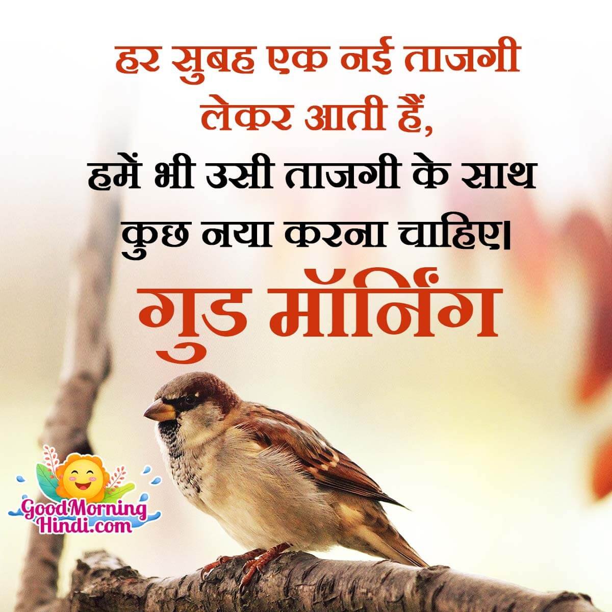 Top 999+ good morning motivational images in hindi – Amazing Collection good morning motivational images in hindi Full 4K