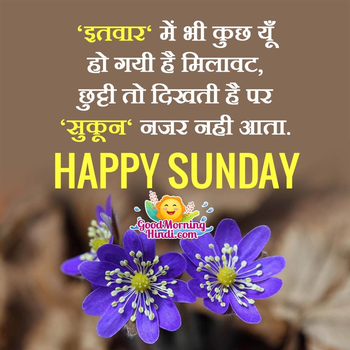 Happy Sunday Hindi Status Images - Good Morning Wishes & Images In ...